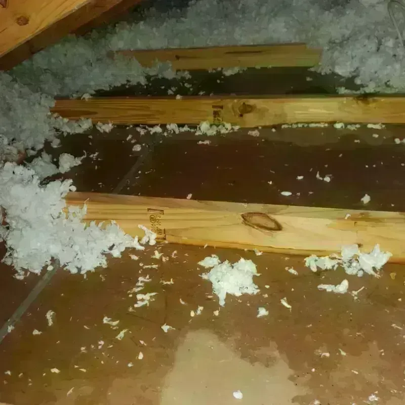 Attic Water Damage in Chester County, SC