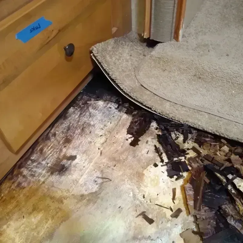 Wood Floor Water Damage in Chester County, SC